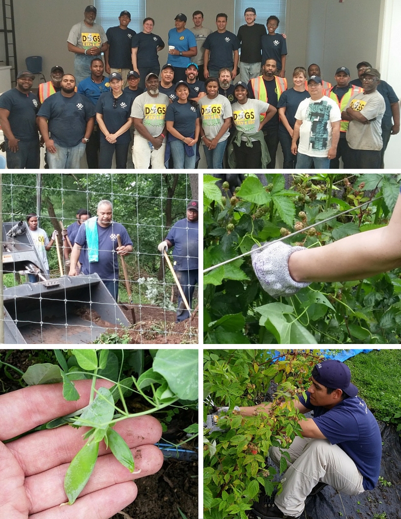 DGS on the farm